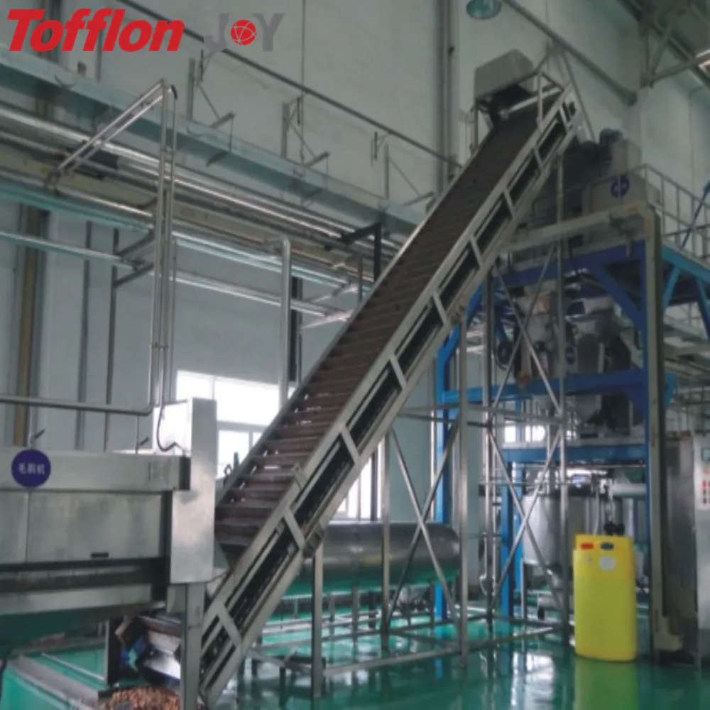 Complete turnkey peach/apricot/plum fruit processing line