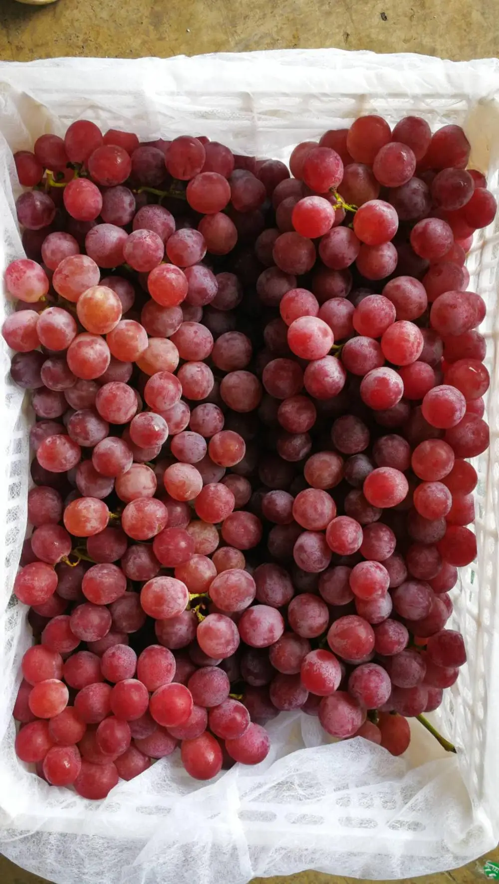 
Hot Sell Fresh Sweet Chinese Red Grapes 