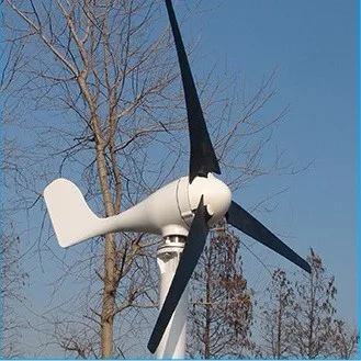 China 300W S Type micro wind mill HAWT wind generator