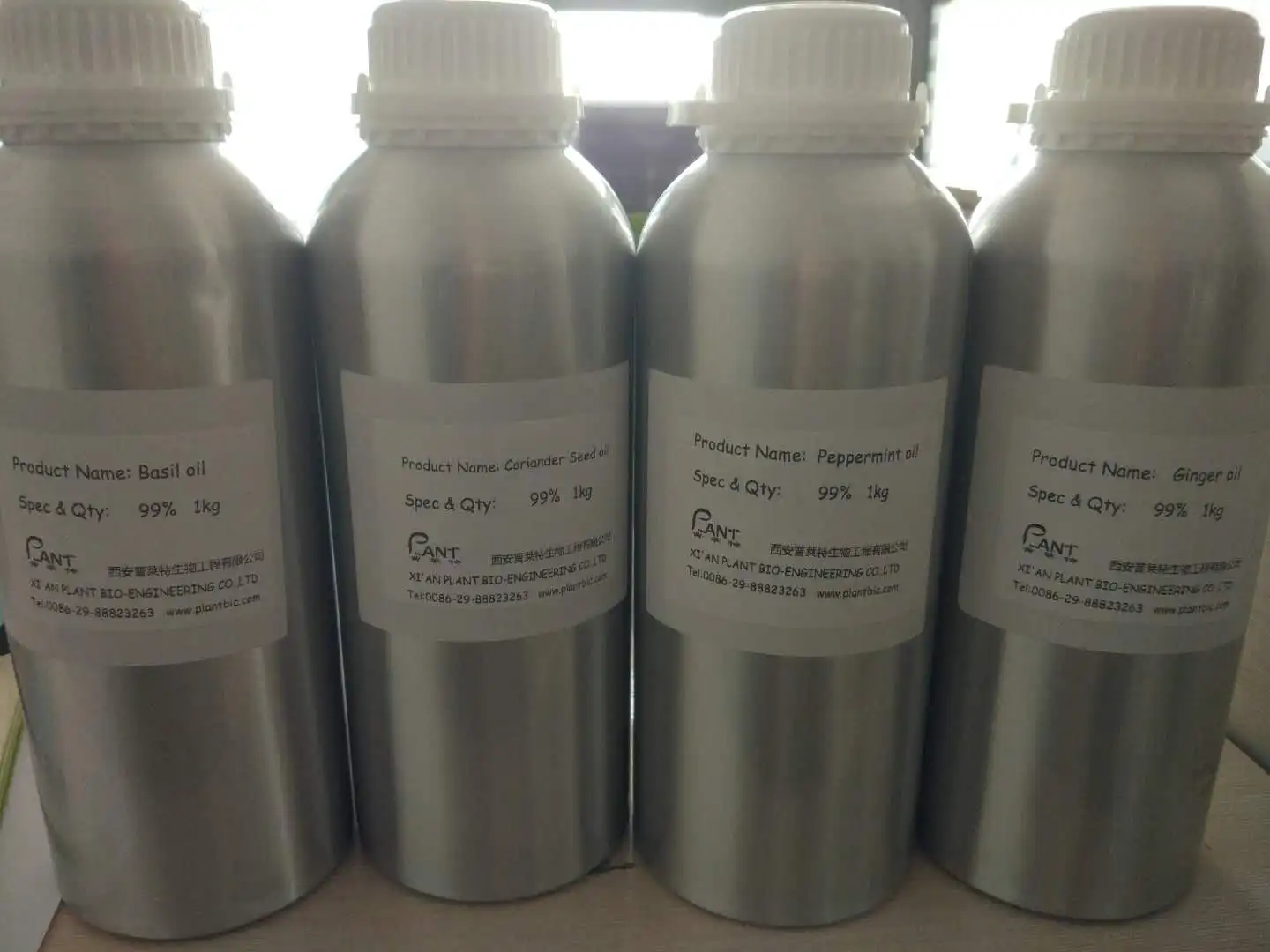 
100% natural burdock extract oil (High quality and fast delivery) 