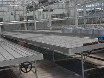 
Agriculture Hydroponics Movable 4x8 FT Rolling Bench for Greenhouse Supplies 