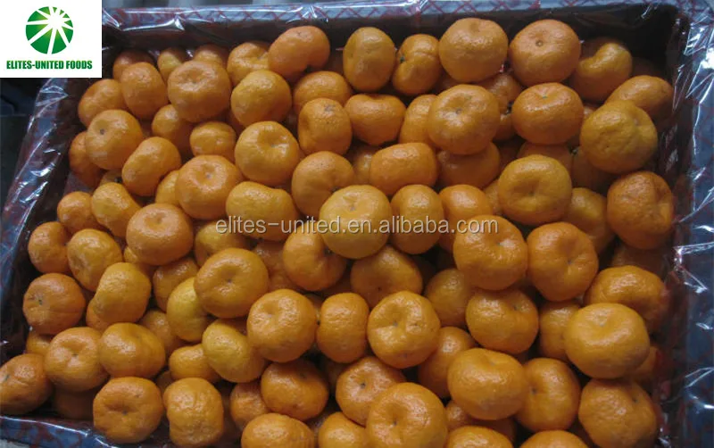 Wholesale new harvest fresh citrus sweet mandarin oranges
