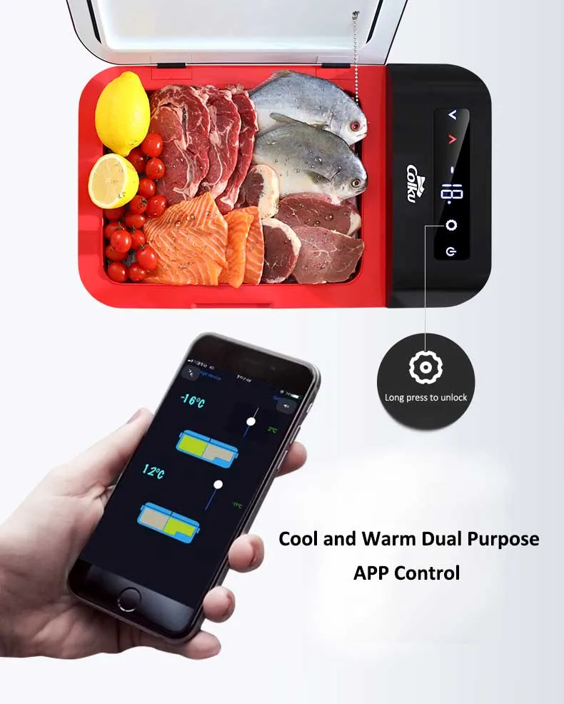 DC 12V/24V Outdoor Dual Temperature Zone Mini Refrigerator Compressor Portable Car Fridge