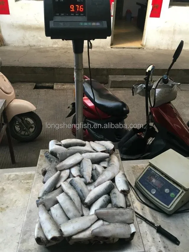 Замороженная Сардина HGT скумбрия HGT Тихоокеанская скумбрия