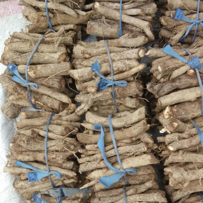 
Заводская цена, саженцы павловнии удлиненной 