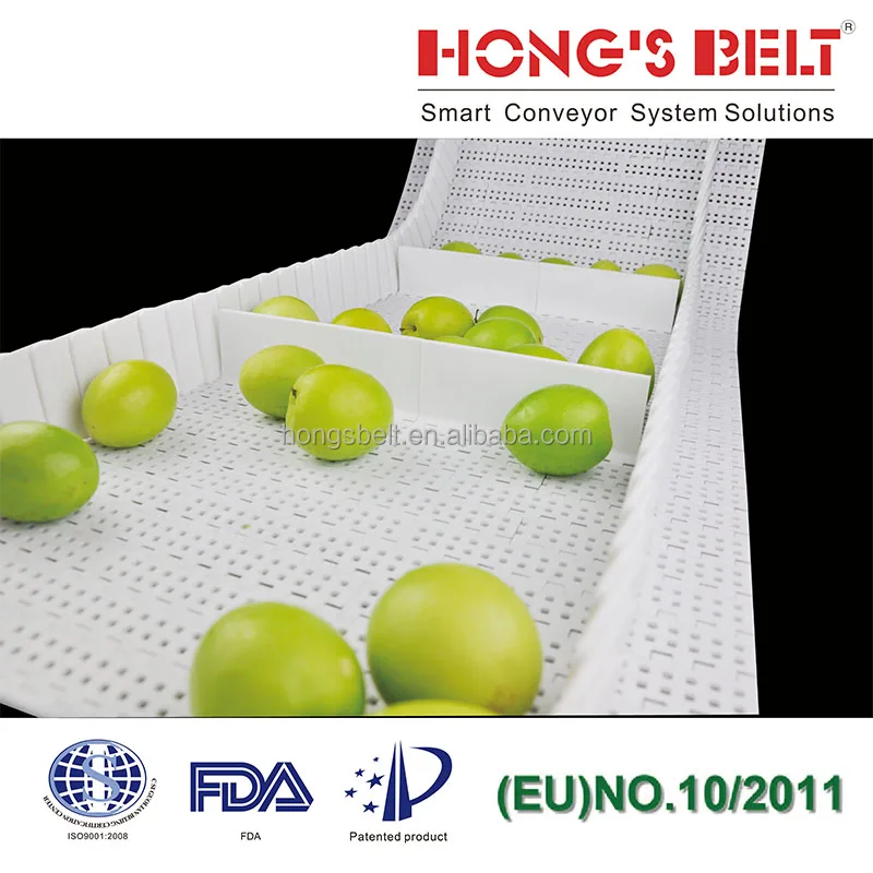 Modular Conveying Belt for Fruit Inclining Conveyor Plate Top Plastic Straight Conveyor Food and Non-food Industry HONGSBELT 15%