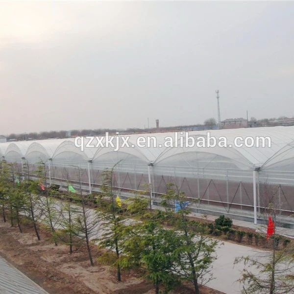 2021 new product green house plastic film greenhouse agricultural greenhouse