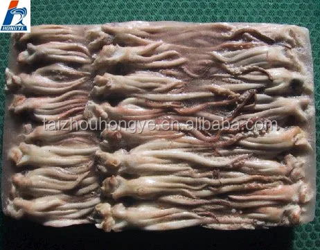 Illex/Gigas Giant /Pacific Squid frozen squid tentacles on sale