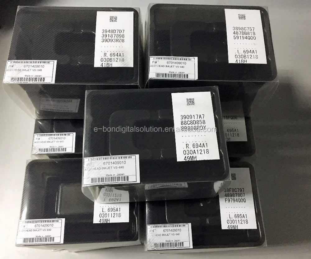 Roland dx7 print head