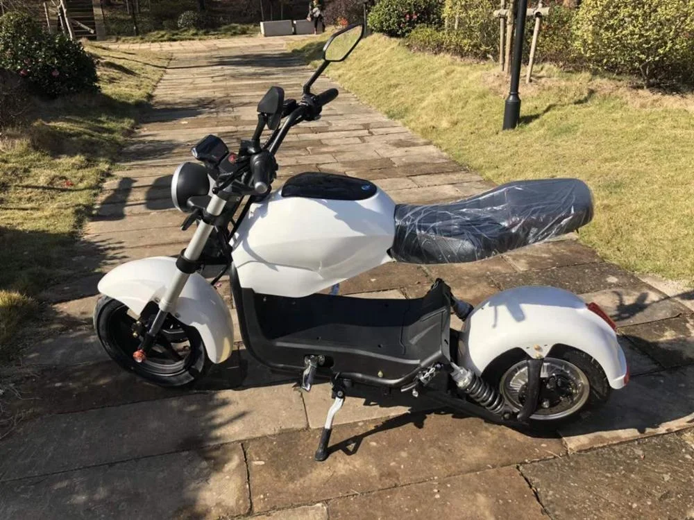 
1500W smart citycoco electric scooter for adult 