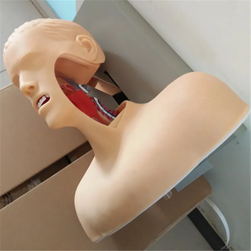 intubation with alarm device airway intubation school teaching training model manikin