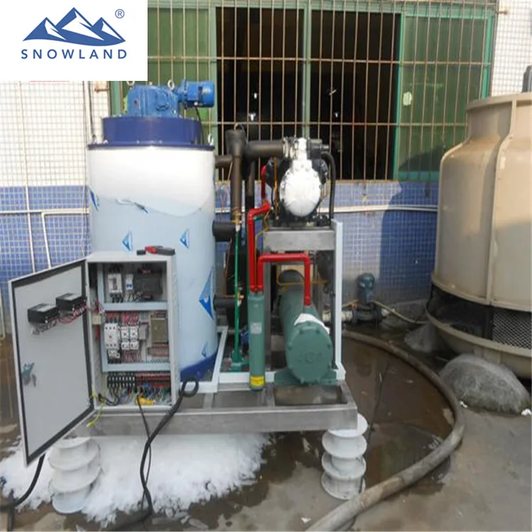 Hot sell flake ice machine in malaysia with 3.0t capacity