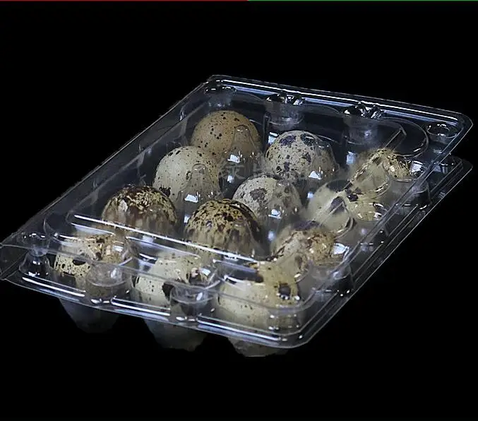 Good Quality 6, 12, 18, 20, 24, 30 Quail Egg Cartons for Sale