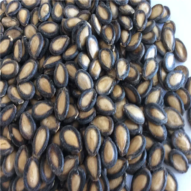  Семена китайского арбуза для человеческого потребления рыночная цена хорошего качества