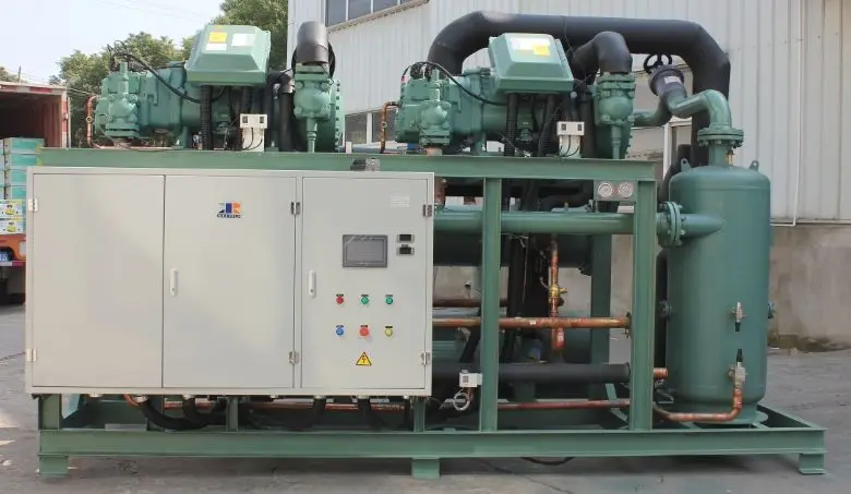 
Vegetable And Fruit CA Cold Storage room Air Conditioner Container Cold Room 