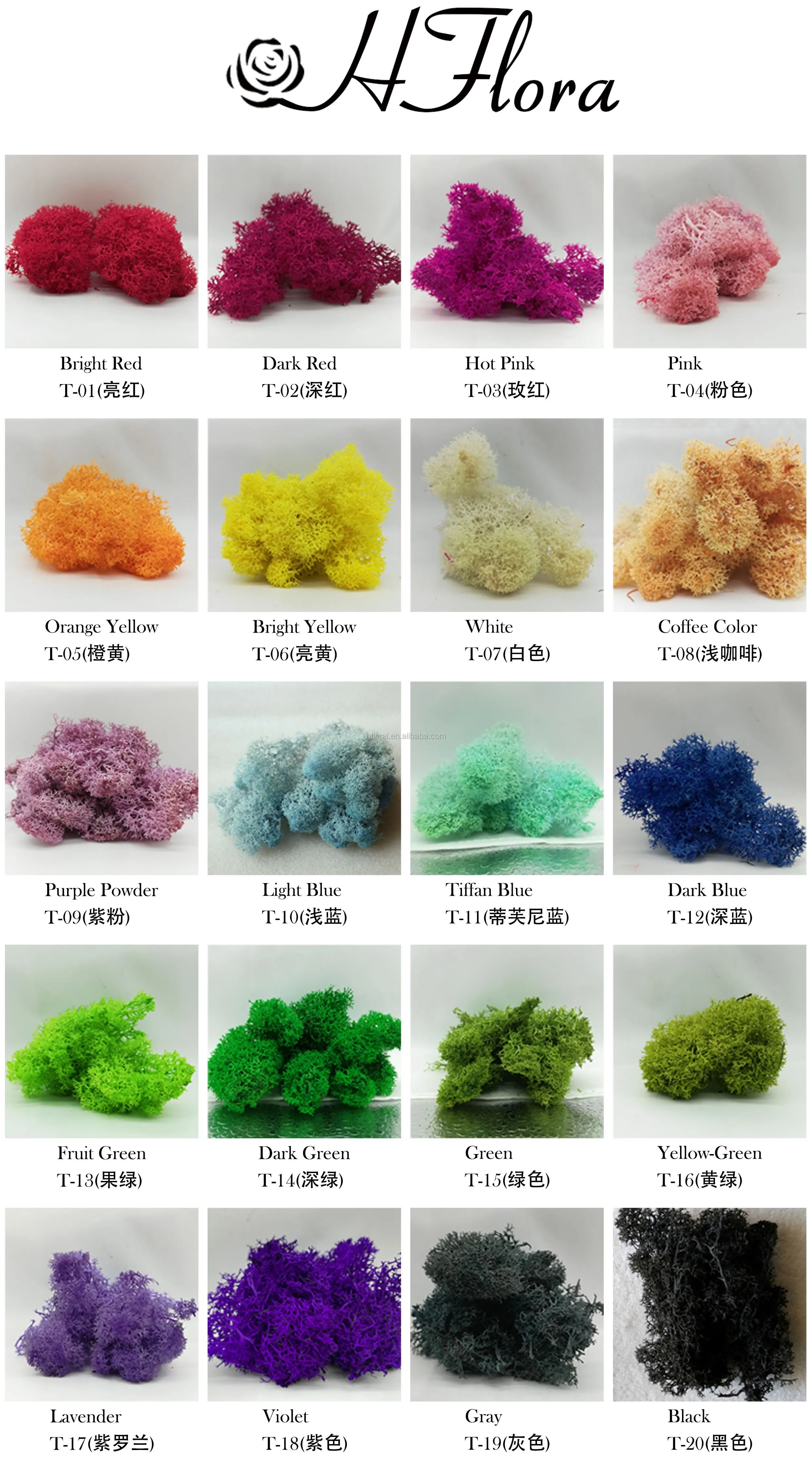 HFloral Company decoration background wall supermoss preserved moss bulk Hotel decor Natural preserved reindeer moss