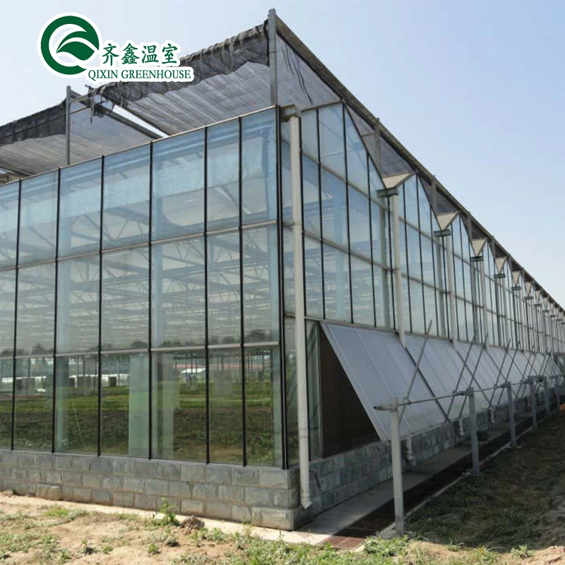 Large Vertical Hydroponic System Glass Greenhouses Agriculture