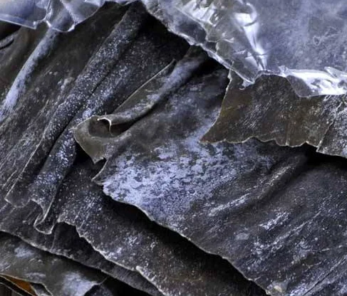 Kunbu сушеный полностью натуральный ламинария Алга цельная часть Thallus для оптовых поставок