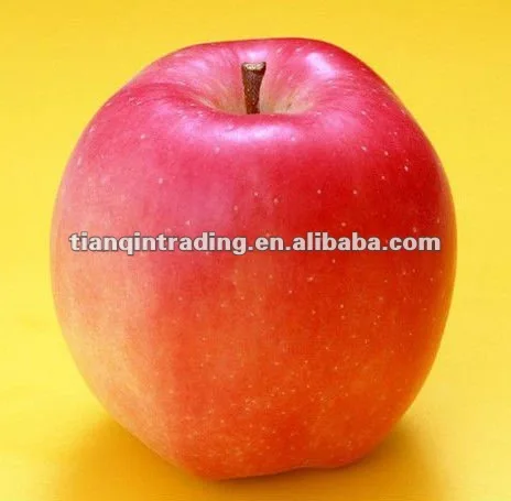 Shandong fresh red star apple