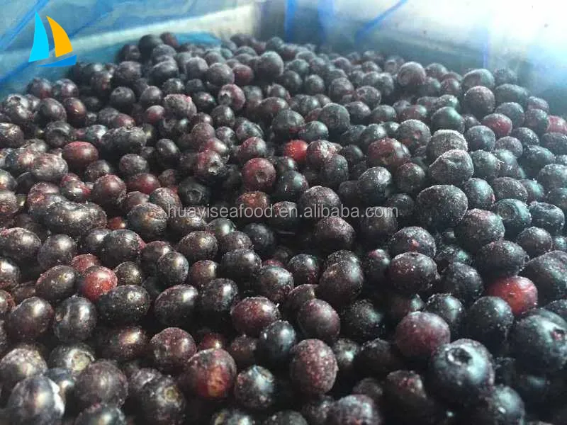 IQF Frozen Blueberry Export Price