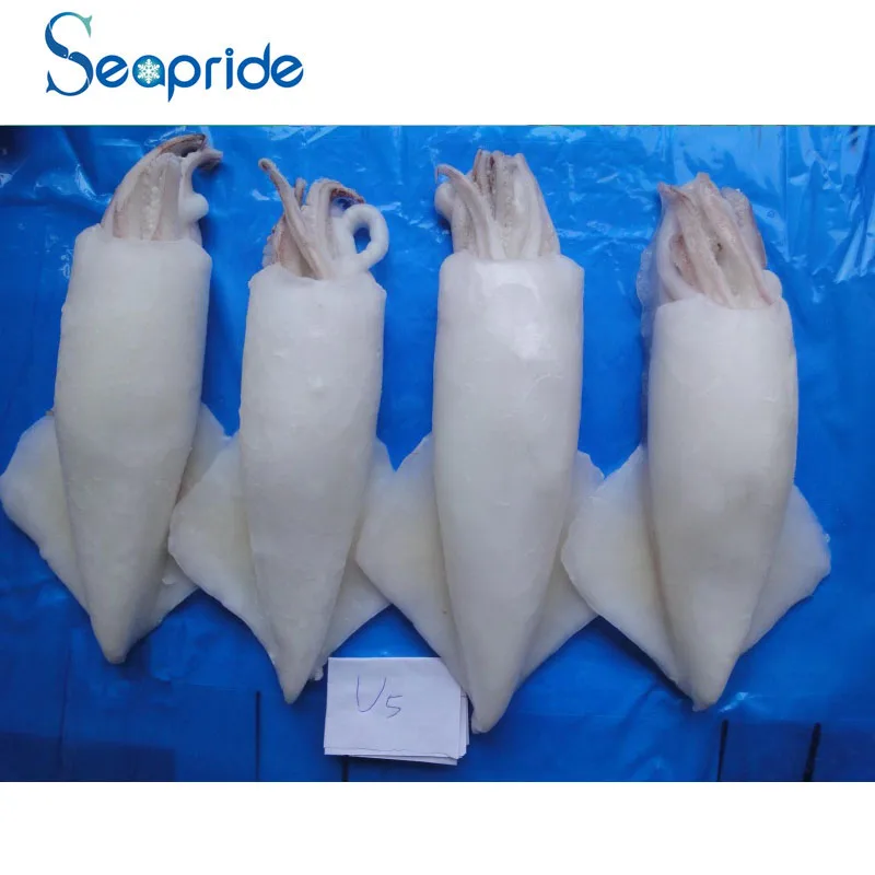 Sea food Frozen -fish whole squid
