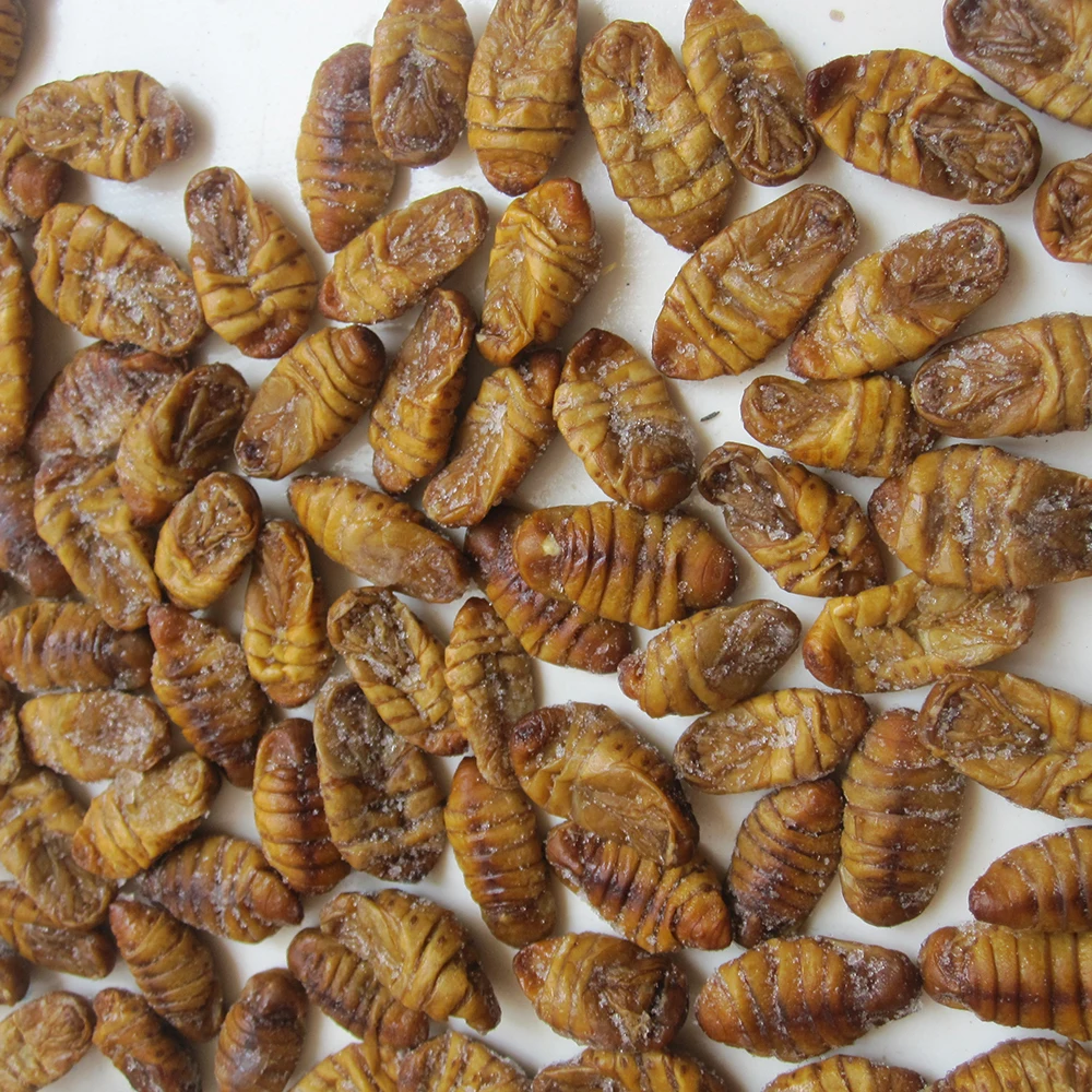 Hot sale delicious dry IQF frozen silkworm