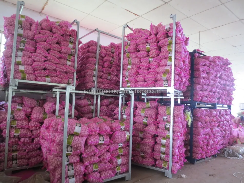 fresh garlic with garlic bag in China