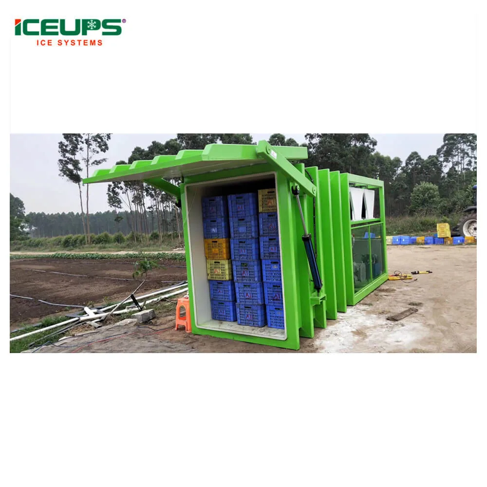 
Vegetables Vacuum Cooling Machine for Leafy Vegetables 