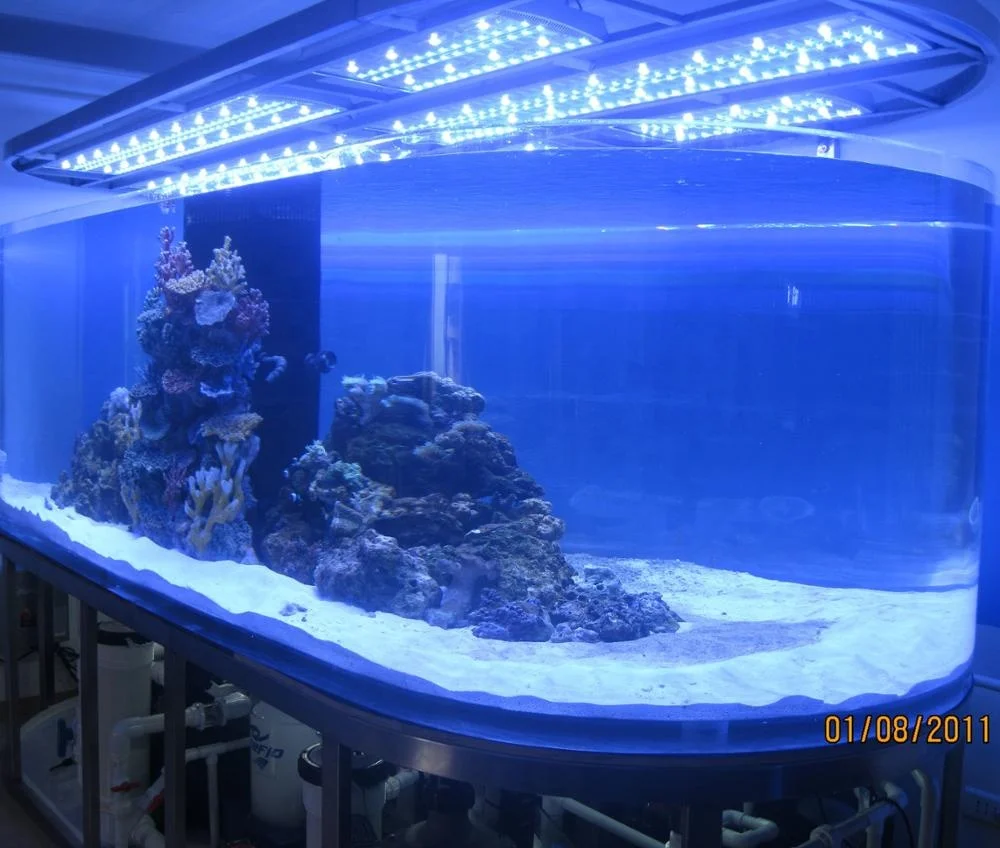 acrylic aquarium / mini fish tank / led aquarium accessories