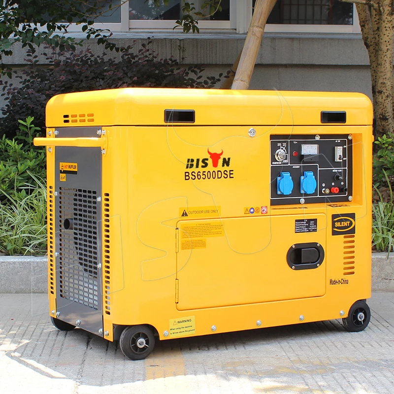 BISON(CHINA) BS7500DSEC 6KW 6KVA Copper Wire New Type Actual Output Power Strong Silent 220V King Max Diesel Generators
