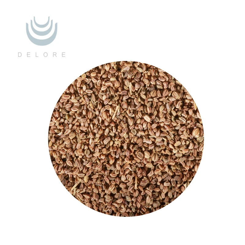 GMP Factory Supply Celery Seed Extract Apigenin Powder