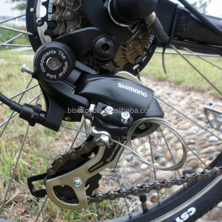 Китайский завод OEM Дешевый Электрический велосипед/электрический велосипед для взрослых 2021