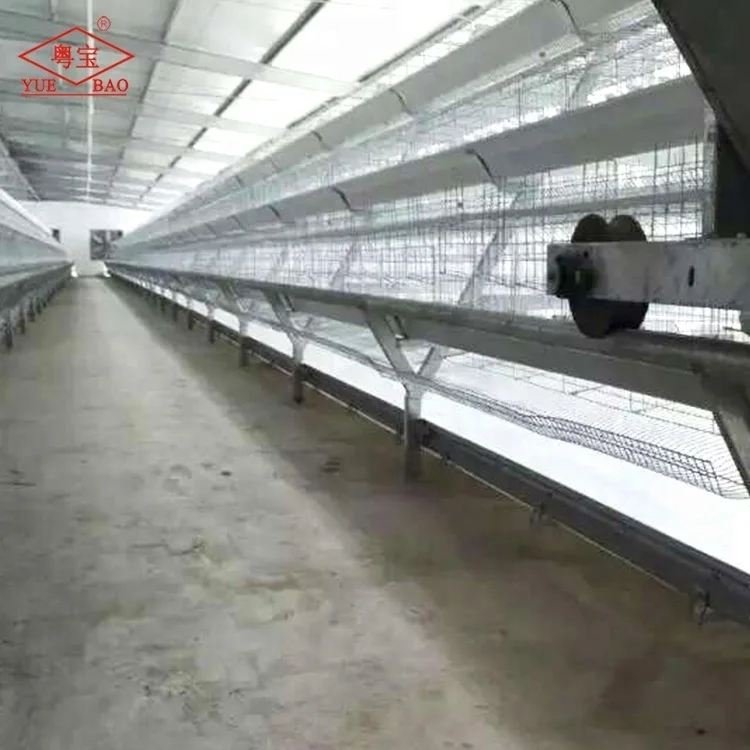 Poultry Manure Conveyor Belt Automatic Cleaning Chicken Manure Belt For Layer Feeding Chicken Cage