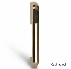New Wardrobe Sauna Electronic Sauna Cabinet RFID Card Swipe Locker Lock