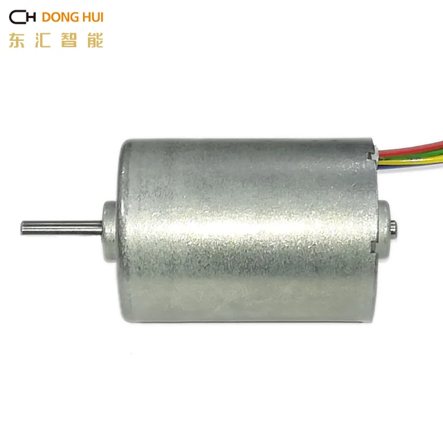 28mm diameter 12V 24V high torque  electronic dc micro brushless motor for pump DBL2838