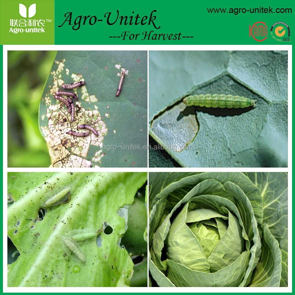 Hot Sell Insecticide Abamectin 5% EC 1.8% EC for Pest Control