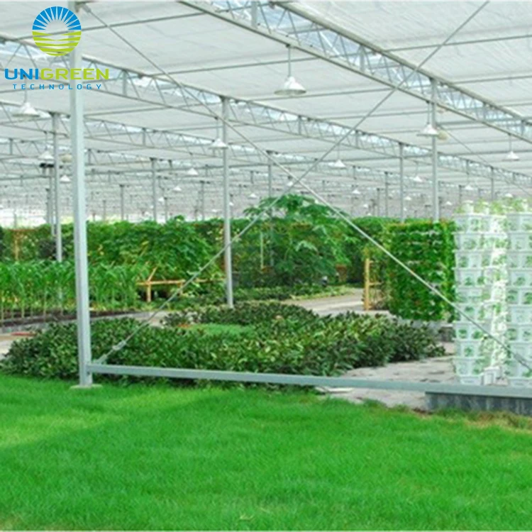 Large multi span agriculture Glass green house