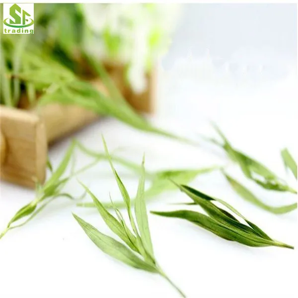 Natural bamboo slimming leaf tea China premium zhuyeqing herb tea