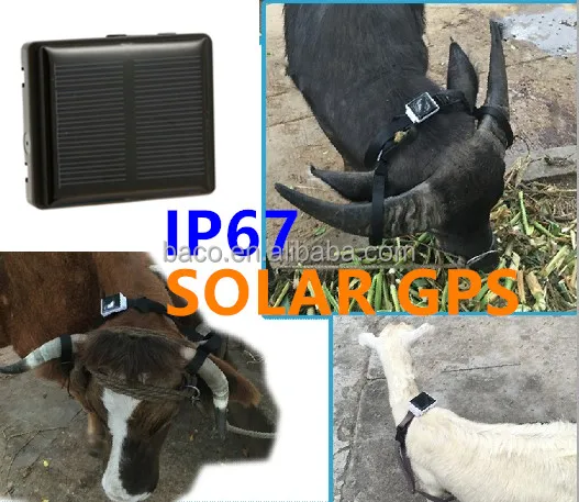New products pet animal solar powered cow gps solar tracker