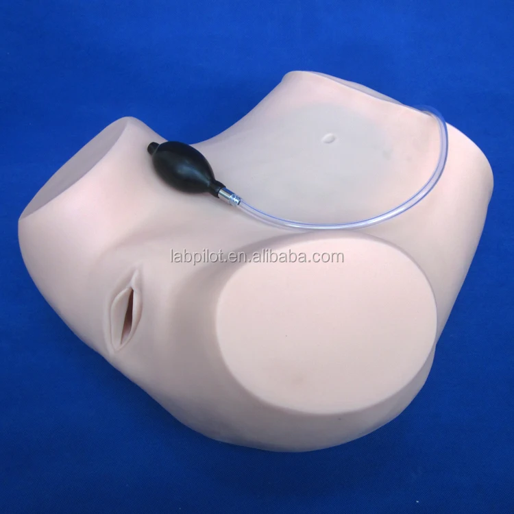 Basic Gynecological Examination Model, Pelvic Examination Training Model