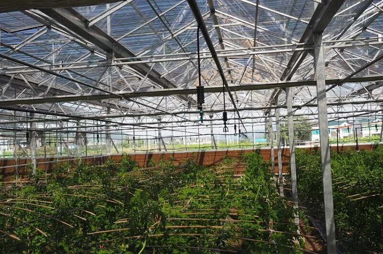 Drip irrigation water system Dynamic Mini Sprinkler with Stake Assembly water system