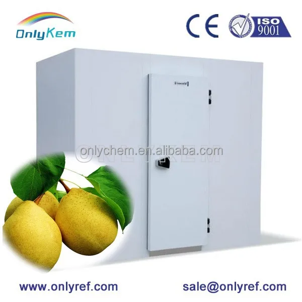 Свежие яйца хранения ходить в холодильная