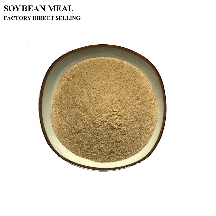 
soybean milk powder 