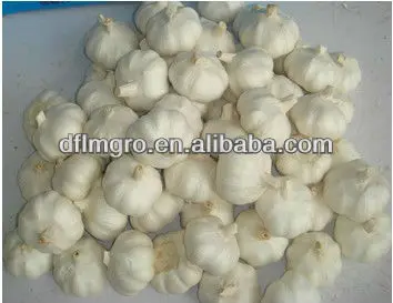 Свежий Чистый Белый Чеснок