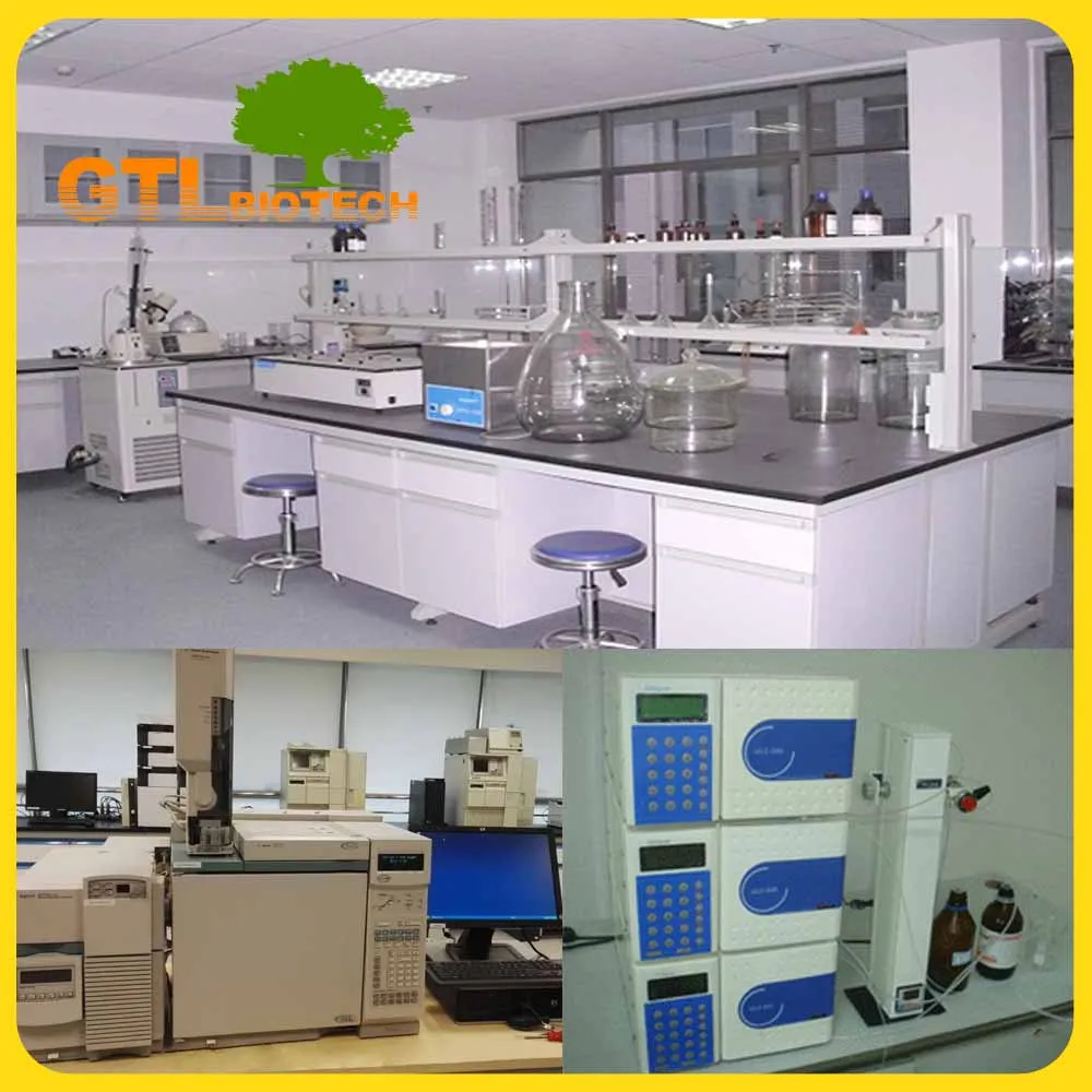 
Wholesale Cold Press Pure Olive Oil Bulk with Best Price 