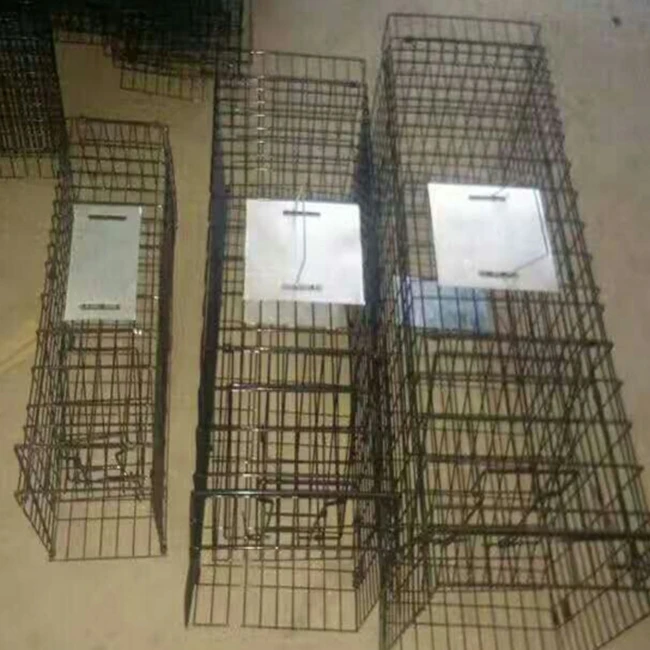 Collapsible One-door Live Animal Cage Trap For Raccoon Stray Cat Groundhog Opossum Armadillos