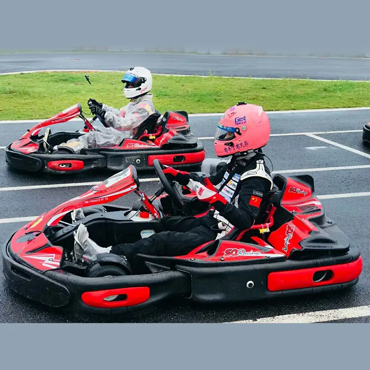 
270cc 4 Stroke High Speed Adult Racing Go Kart/Karting for Sale With Honda Engine 