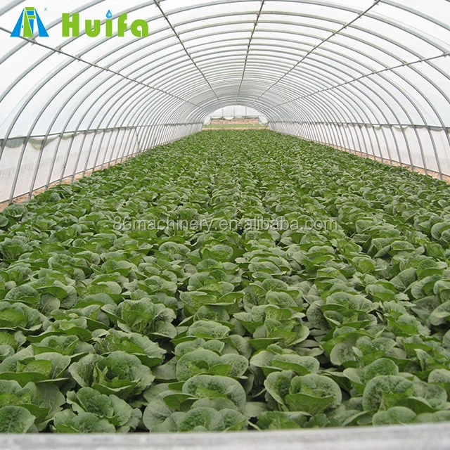 Solar Agricultural Material Greenhouse Grow Tent/Greenhouse Shading Screen