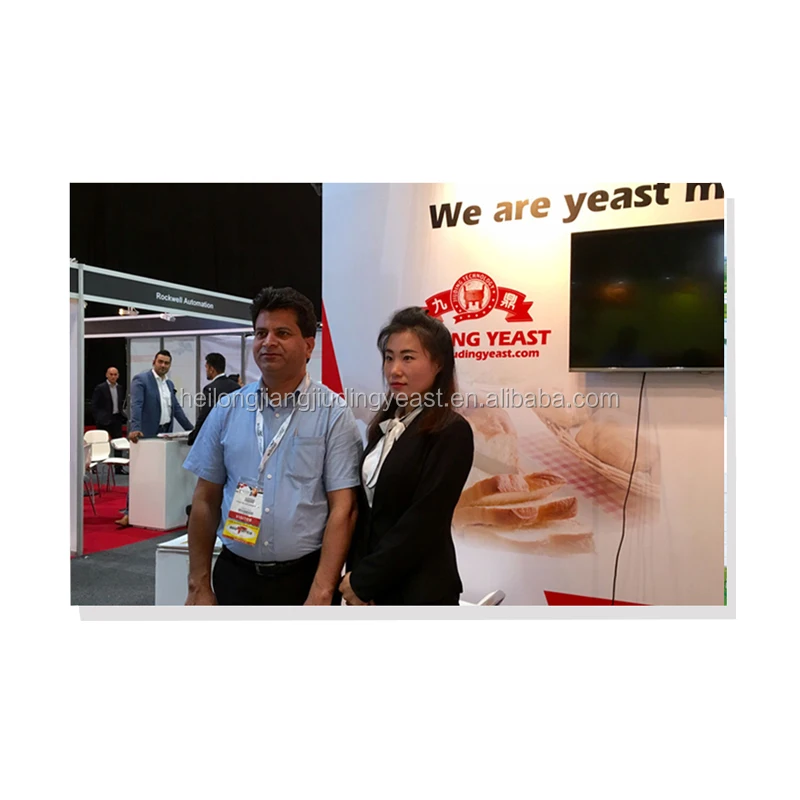 
Factory yeast wholesale halal haccp bv certification 