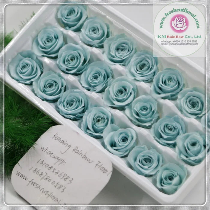 natural mini preserved rose head 2-3cm diameter in size 24 pieces/box
